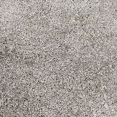 Diatomaceous Earth