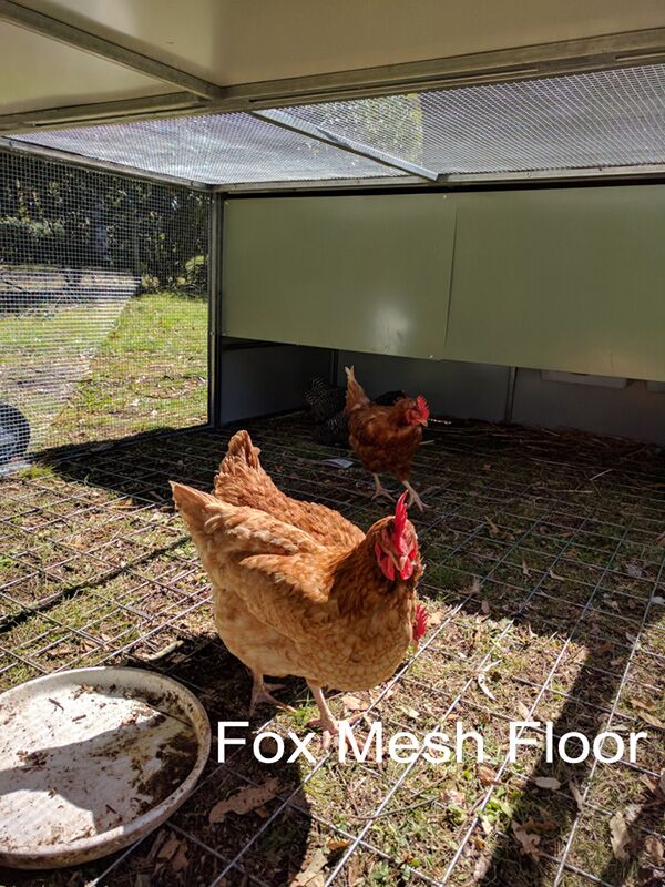 master chicken tractor fox mesh floor