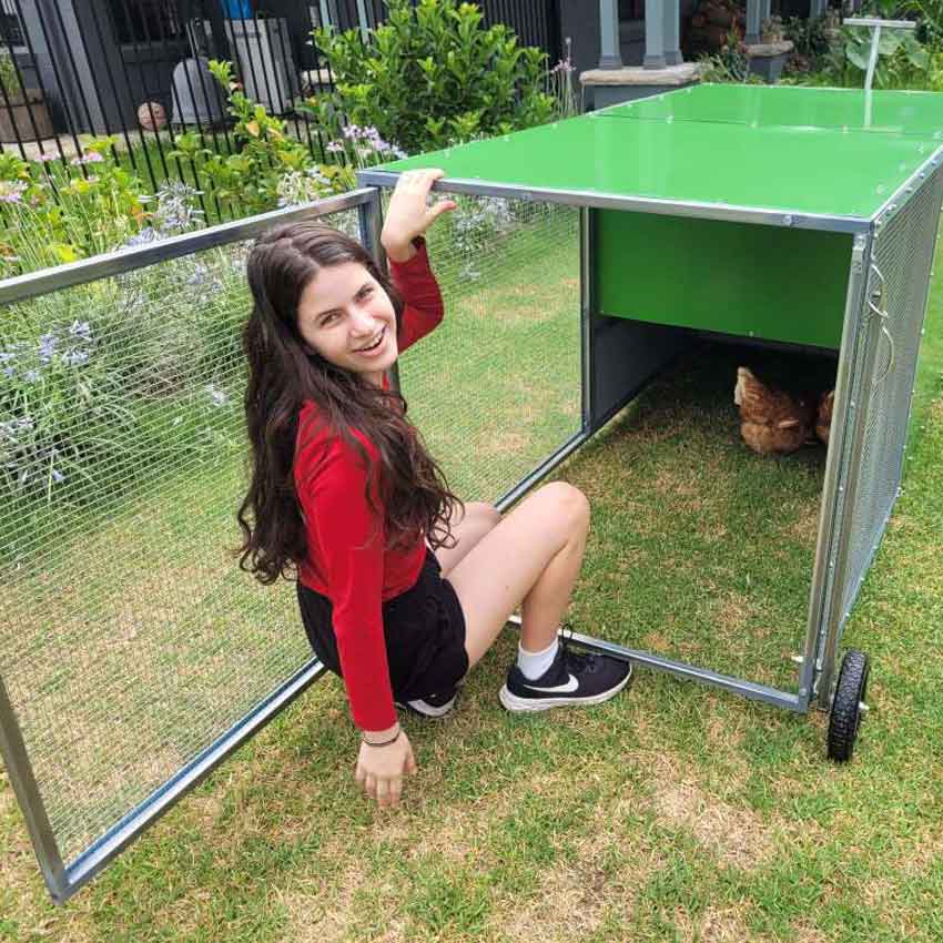 chook rental program coop with backyard model tractor and owner