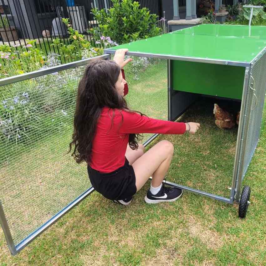 chook rental program coop with backyard model photo 3