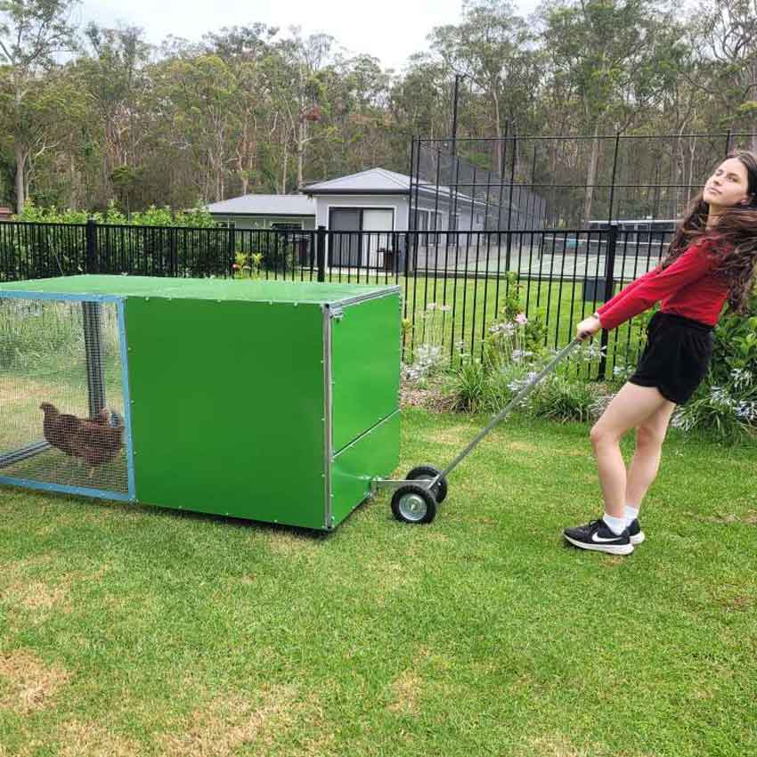 chook rental program coop with backyard model tractor photo 10