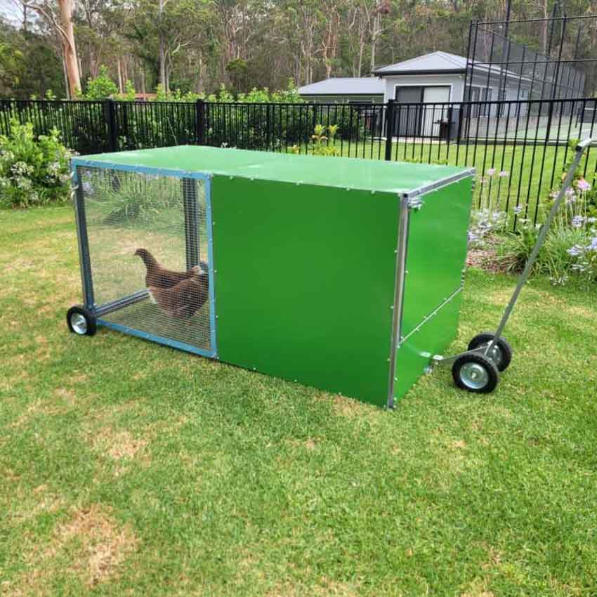 chook rental program coop with backyard model tractor photo 11