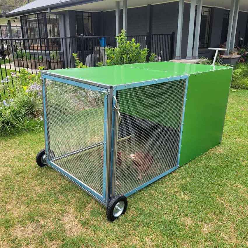 chook rental program coop with backyard model tractor photo 6