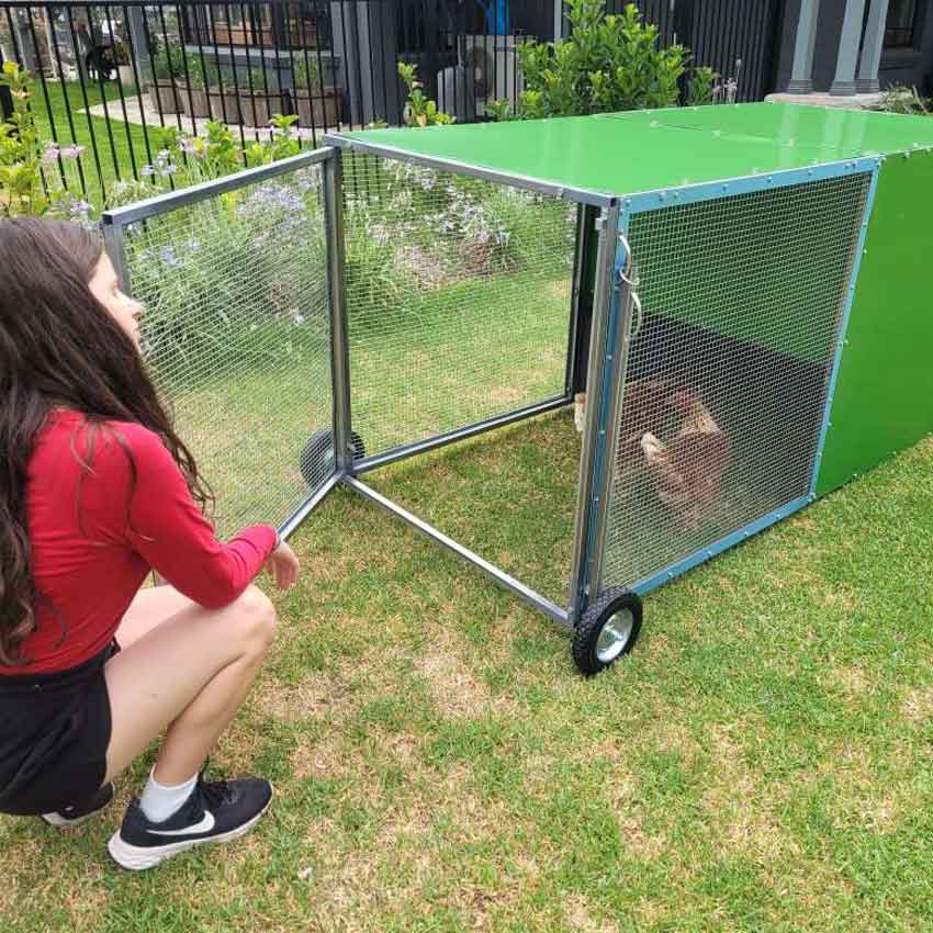 chook rental program coop with backyard model tractor photo 7