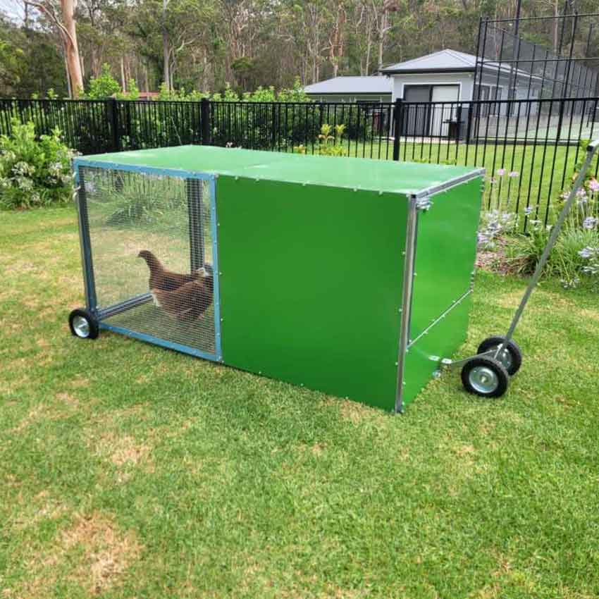 chook rental program coop with backyard model tractor photo 8