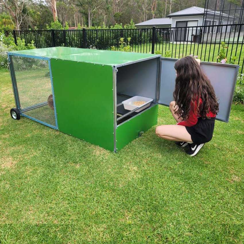 chook rental program coop with backyard model photo 2